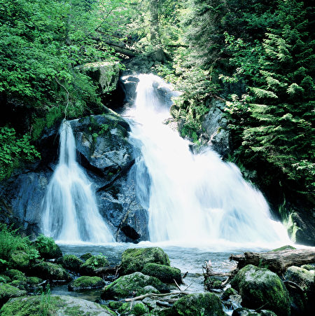 特里貝格瀑布從城頭山頂噴涌而下，落差163米的瀑布被長滿青苔的岩石分割成了七層。（黑森林旅遊局提供）